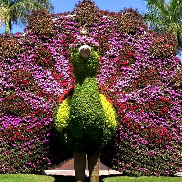 Jardines de México